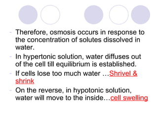 Therefore, osmosis occurs in response to the concentration of solutes dissolved in water. In hypertonic solution, water diffuses out of the cell till equilibrium is established. If cells lose too much water … Shrivel & shrink On the reverse, in hypotonic solution, water will move to the inside… cell swelling 