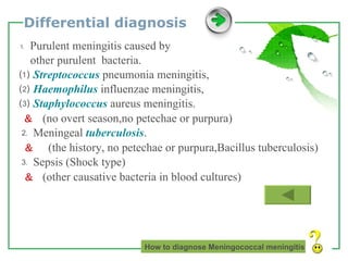 Differential diagnosis ⒈   Purulent meningitis caused by other purulent  bacteria. ⑴  Streptococcus  pneumonia meningitis, ⑵  Haemophilus  influenzae meningitis, ⑶  Staphylococcus  aureus meningitis. ＆   (no overt season,no petechae or purpura) ⒉  Meningeal  tuberculosis . ＆  (the history, no petechae or purpura,Bacillus tuberculosis) ⒊  Sepsis (Shock type) ＆  (other causative bacteria in blood cultures) How to diagnose Meningococcal meningitis 