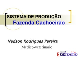 SISTEMA DE PRODUÇÃO
Fazenda Cachoeirão
Nedson Rodrigues Pereira
Médico-veterinário
 