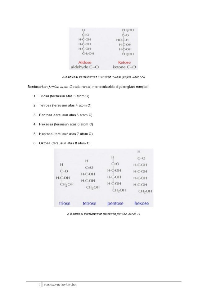 4 metabolisme karbohidrat