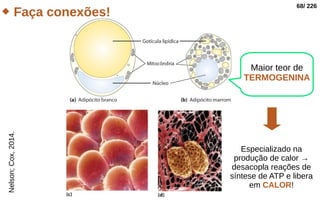 Metabolismo Celular, Respiração Celular aeróbia e anaeróbia.pdf