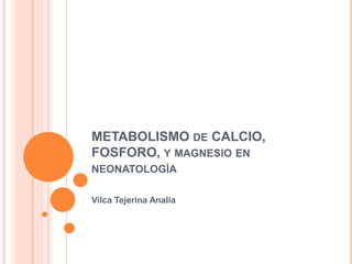 METABOLISMO DE CALCIO,
FOSFORO, Y MAGNESIO EN
NEONATOLOGÍA

Vilca Tejerina Analia
 