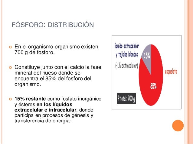 No hacer esto si como ralentizar el metabolismo