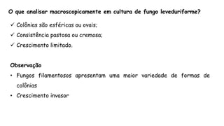  Colônias são esféricas ou ovais;
 Consistência pastosa ou cremosa;
 Crescimento limitado.
Observação
• Fungos filamentosos apresentam uma maior variedade de formas de
colônias
• Crescimento invasor
O que analisar macroscopicamente em cultura de fungo leveduriforme?
 