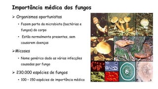 Importância médica dos fungos
 Organismos oportunistas
• Fazem parte da microbiota (bactérias e
fungos) do corpo
• Estão normalmente presentes, sem
causarem doenças
Micoses
• Nome genérico dado as várias infecções
causadas por fungo
 230.000 espécies de fungos
• 100 – 150 espécies de importância médica
 
