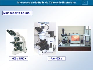 Microscopia e Método de Coloração Bacteriana 1
MICROSCOPIO DE LUZ:
1000 a 1500 x Até 5000 x
 