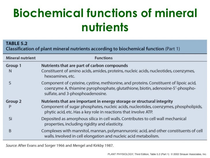 4 mineral nutrition