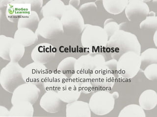 Prof. Ana Rita Rainho




                        Ciclo Celular: Mitose

                    Divisão de uma célula originando
                  duas células geneticamente idênticas
                         entre si e à progenitora
 
