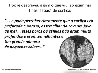Hooke descreveu assim o que viu, ao examinar
finas “fatias” de cortiça:
“ … e pude perceber claramente que a cortiça era
perfurada e porosa, assemelhando-se a um favo
de mel … esses poros ou células não eram muito
profundos e eram semelhantes a
Um grande número
de pequenas caixas…”
E.S. Poeta Al Berto de Sines Microscopia – 7º Ano – Ciências Naturais
 