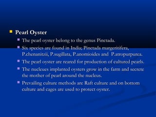    Pearl Oyster
       The pearl oyster belong to the genus Pinctada.
       Six species are found in India; Pinctada margeritifera,
        P.chenanitzii, P.sugillata, P.anomioides and P.atropurpurea.
       The pearl oyster are reared for production of cultured pearls.
       The nucleues implanted oysters grow in the farm and secrete
        the mother of pearl around the nucleus.
       Prevailing culture methods are Raft culture and on bottom
        culture and cages are used to protect oyster.
 