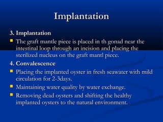 Implantation
3. Implantation
 The graft mantle piece is placed in th gonad near the
   intestinal loop through an incision and placing the
   sterilized nucleus on the graft mantl piece.
4. Convalescence
 Placing the implanted oyster in fresh seawater with mild
   circulation for 2-3days.
 Maintaining water quality by water exchange.
 Removing dead oysters and shifting the healthy
   implanted oysters to the natural environment.
 