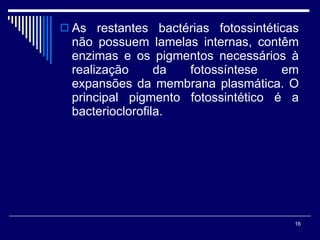 As restantes bactérias fotossintéticas não possuem lamelas internas, contêm enzimas e os pigmentos necessários à realização da fotossíntese em expansões da membrana plasmática. O principal pigmento fotossintético é a bacterioclorofila. 