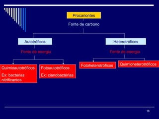 Procariontes Fonte de carbono Autotróficos Heterotróficos Fonte de energia Fonte de energia Quimioautotróficos Ex: bactérias nitrificantes Fotoautotróficos Ex: cianobactérias Fotoheterotróficos Quimioheterotróficos 