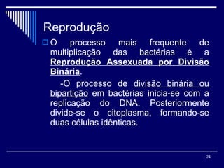 Reprodução O processo mais frequente de multiplicação das bactérias é a  Reprodução Assexuada por Divisão Binária . -O processo de  divisão binária ou bipartição  em bactérias inicia-se com a replicação do DNA. Posteriormente divide-se o citoplasma, formando-se duas células idênticas. 