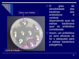 O grau de sensibilidade das bactérias aos antibióticos é variável, dependendo quer da estirpe bacteriana quer do antibiótico considerado. Assim, um antibiótico só será eficiente se for o adequado para a estirpe bacteriana patogénica. Disco com inibidor Zona de inibição 