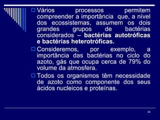 Vários processos permitem compreender a importância  que, a nível dos ecossistemas, assumem os dois grandes grupos de bactérias considerados –  bactérias autotróficas e bactérias heterotróficas. Consideremos, por exemplo, a importância das bactérias no ciclo do azoto, gás que ocupa cerca de 79% do volume da atmosfera. Todos os organismos têm necessidade de azoto como componente dos seus ácidos nucleicos e proteínas.  