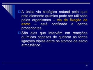 A única via biológica natural pela qual este elemento químico pode ser utilizado pelos organismos –  via de fixação de azoto  – está confinada a certos procariontes. São eles que intervêm em reacções químicas capazes de quebrar as fortes ligações triplas entre os átomos de azoto atmosférico.  