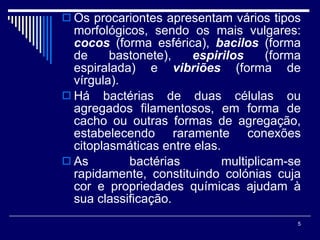 Os procariontes apresentam vários tipos morfológicos, sendo os mais vulgares:  cocos  (forma esférica),  bacilos  (forma de bastonete),  espirilos  (forma espiralada) e  vibriões  (forma de vírgula). Há bactérias de duas células ou agregados filamentosos, em forma de cacho ou outras formas de agregação, estabelecendo raramente conexões citoplasmáticas entre elas. As bactérias multiplicam-se rapidamente, constituindo colónias cuja cor e propriedades químicas ajudam à sua classificação.  