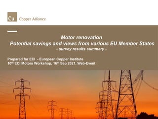 Motor renovation
Potential savings and views from various EU Member States
- survey results summary -
Prepared for ECI - European Copper Institute
10th ECI Motors Workshop, 16th Sep 2021, Web-Event
 