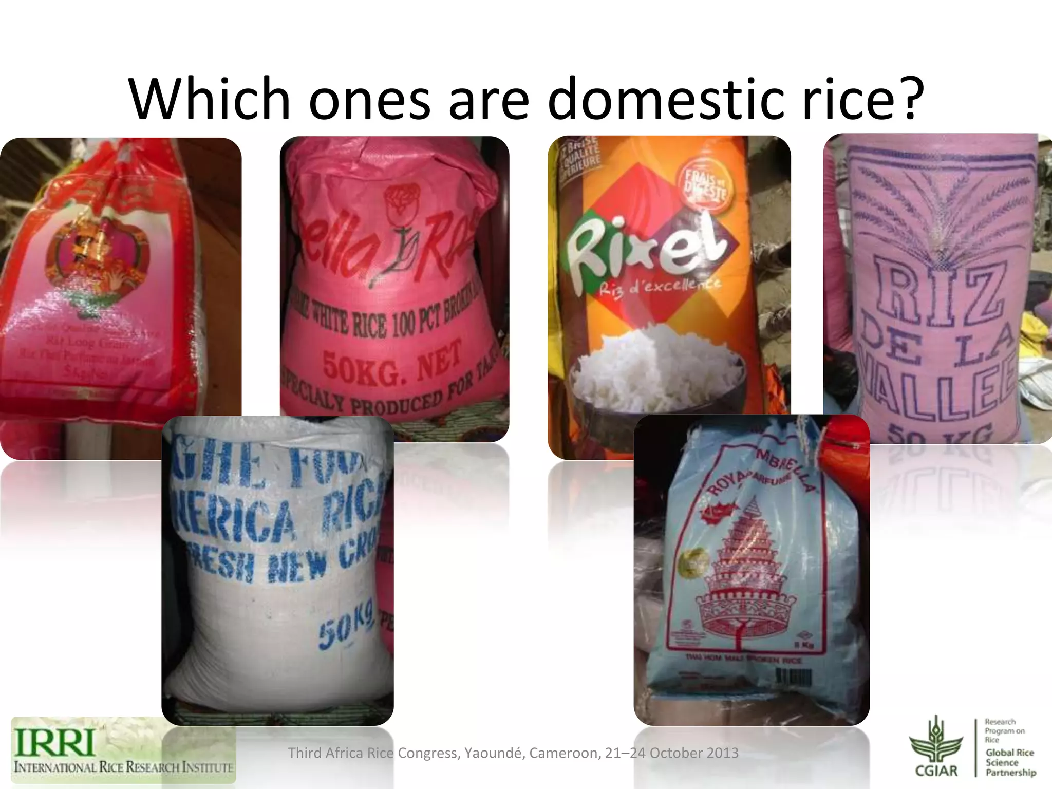 Which ones are domestic rice?

Third Africa Rice Congress, Yaoundé, Cameroon, 21–24 October 2013

 