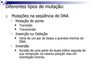 Diferentes tipos de mutação: Mutações na seqüência de DNA Mutação de ponto Transição Transversão Inserção ou Deleção Varia de um par de bases a grandes trechos de DNA. Inversão Excisão de uma parte da dupla hélice seguida de sua reinserção na mesma posição mas em orientação inversa. 