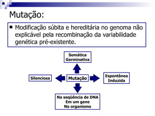 Mutação: Modificação súbita e hereditária no genoma não explicável pela recombinação da variabilidade genética pré-existente. Mutação Silenciosa Espontânea Induzida Na seqüência de DNA Em um gene No organismo Somática Germinativa 