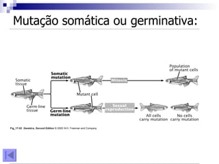 Mutação somática ou germinativa: 