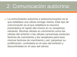 2. Comunicación autócrina: La comunicación autocrina o autocomunicación es la que establece una célula consigo misma. Este tipo de comunicación es el que establece la neurona presináptica al captar ella misma en su receptores celulares. Muchas células en crecimiento como las células del embrión o las células cancerosas producen factores de crecimiento y los receptores para esos mismos factores de crecimiento y así­ perpetuar su proliferación, controlada en el caso del embrión y descontrolada en el caso del cáncer.