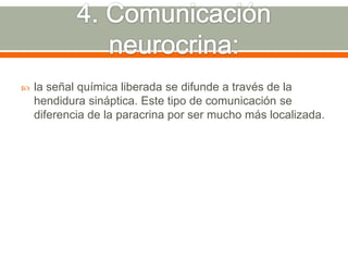 4. Comunicación neurocrina: la señal química liberada se difunde a través de la hendidura sináptica. Este tipo de comunicación se diferencia de la paracrina por ser mucho más localizada.