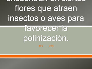 Ejemplos en la naturaleza se encuentran en ciertas flores que atraen insectos o aves para favorecer la polinización.