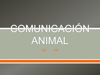 COMUNICACIÓN ANIMAL