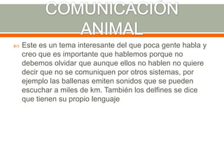 COMUNICACIÓN ANIMALEste es un tema interesante del que poca gente habla y creo que es importante que hablemos porque no debemos olvidar que aunque ellos no hablen no quiere decir que no se comuniquen por otros sistemas, por ejemplo las ballenas emiten sonidos que se pueden escuchar a miles de km. También los delfines se dice que tienen su propio lenguaje