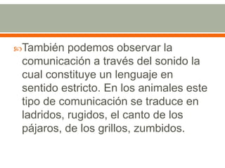 También podemos observar la comunicación a través del sonido la cual constituye un lenguaje en sentido estricto. En los animales este tipo de comunicación se traduce en ladridos, rugidos, el canto de los pájaros, de los grillos, zumbidos.