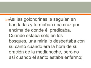 Así las golondrinas le seguían en bandadas y formaban una cruz por encima de donde él predicaba. Cuando estaba solo en los bosques, una mirla lo despertaba con su canto cuando era la hora de su oración de la medianoche, pero no así cuando el santo estaba enfermo; 