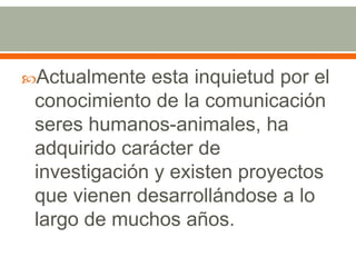 Actualmente esta inquietud por el conocimiento de la comunicación seres humanos-animales, ha adquirido carácter de investigación y existen proyectos que vienen desarrollándose a lo largo de muchos años.