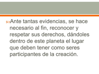 Ante tantas evidencias, se hace necesario al fin, reconocer y respetar sus derechos, dándoles dentro de este planeta el lugar que deben tener como seres participantes de la creación.