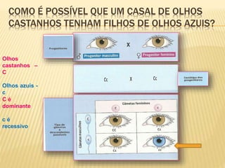 COMO É POSSÍVEL QUE UM CASAL DE OLHOS
CASTANHOS TENHAM FILHOS DE OLHOS AZUIS?
Olhos
castanhos –
C
Olhos azuis -
c
C é
dominante
c é
recessivo
 
