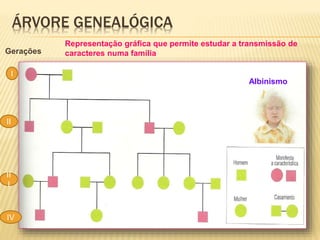 ÁRVORE GENEALÓGICA
I
II
II
I
IV
Gerações
Albinismo
Representação gráfica que permite estudar a transmissão de
caracteres numa família
 