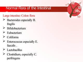 Comprehensive Overview of Human Body Normal Flora and Microbiota | PPTX