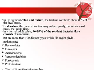 Comprehensive Overview of Human Body Normal Flora and Microbiota | PPTX
