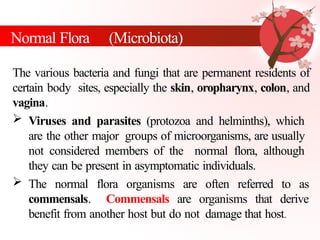 Normal Flora Examples Comprehensive Overview of Human Body Normal Flora and Microbiota | PPTX