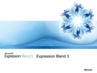 Expression Blend 3