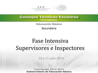 Fase Intensiva
Supervisores e Inspectores
10 y 11 julio 2014
Secundaria
 