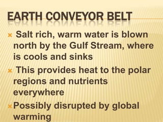 Earth Conveyor Belt Salt rich, warm water is blown north by the Gulf Stream, where is cools and sinks This provides heat to the polar regions and nutrients everywherePossibly disrupted by global warming