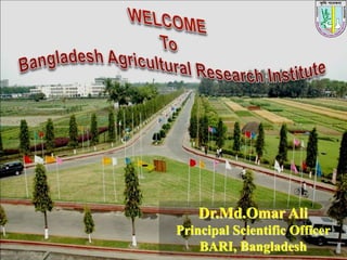 Dr.Md.Omar Ali
Principal Scientific Officer
BARI, Bangladesh
 