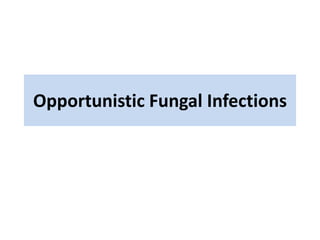 Opportunistic Fungal Infections
 