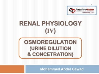 1




RENAL PHYSIOLOGY
       (IV)
         m
 OSMOREGULATION
   (URINE DILUTION
  & CONCETRATION)

      Mohammed Abdel Gawad
 