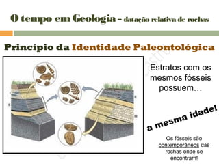 O tempo emGeologia – datação relativa de rochas
Princípio da Identidade Paleontológica
Estratos com os
mesmos fósseis
possuem…
a mesma idade!
Os fósseis são
contemporâneos das
rochas onde se
encontram!
 