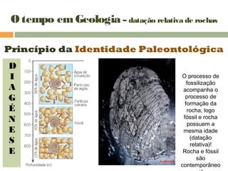 O tempo emGeologia – datação relativa de rochas
Princípio da Identidade Paleontológica
D
I
A
G
É
N
E
S
E
O processo de
fossilização
acompanha o
processo de
formação da
rocha, logo
fóssil e rocha
possuem a
mesma idade
(datação
relativa)!
Rocha e fóssil
são
contemporâneo
 