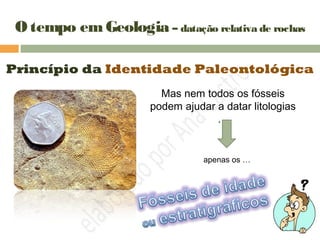 O tempo emGeologia – datação relativa de rochas
Princípio da Identidade Paleontológica
Mas nem todos os fósseis
podem ajudar a datar litologias
…
apenas os …
 